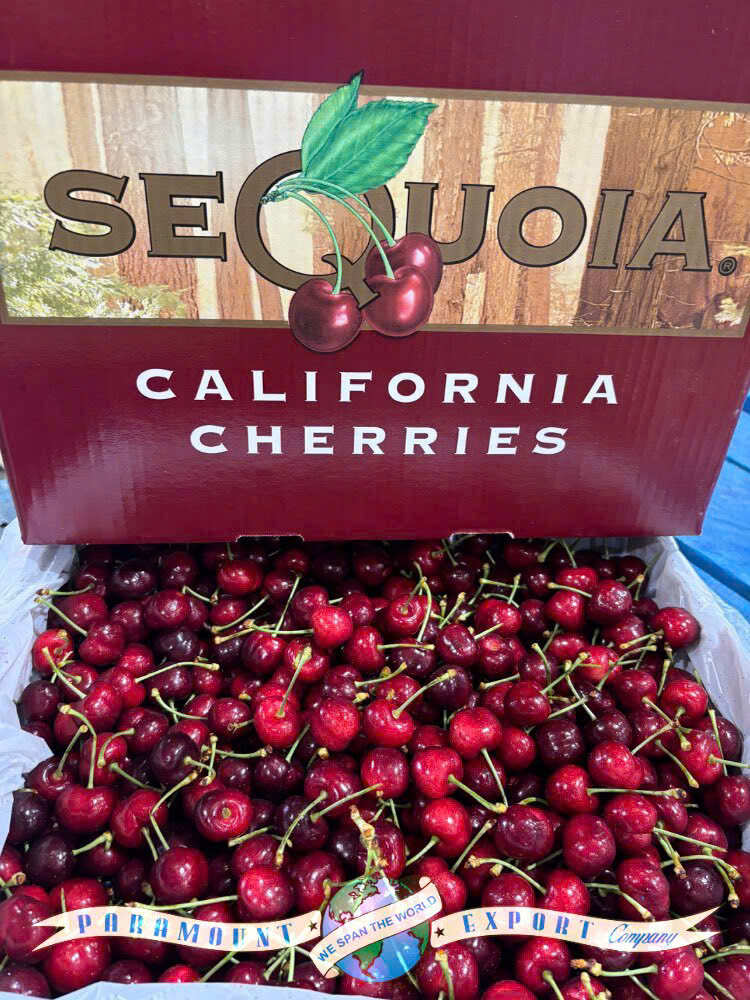 Cherry Mỹ đầu mùa